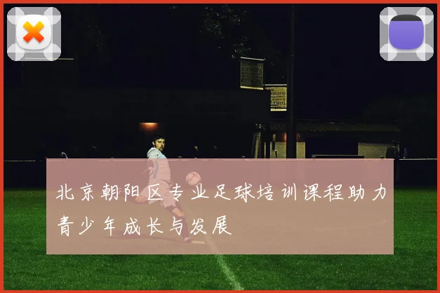 北京朝阳区专业足球培训课程助力青少年成长与发展