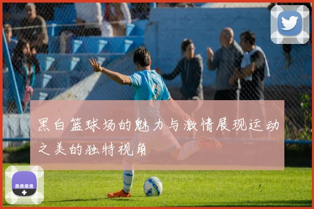 黑白篮球场的魅力与激情展现运动之美的独特视角