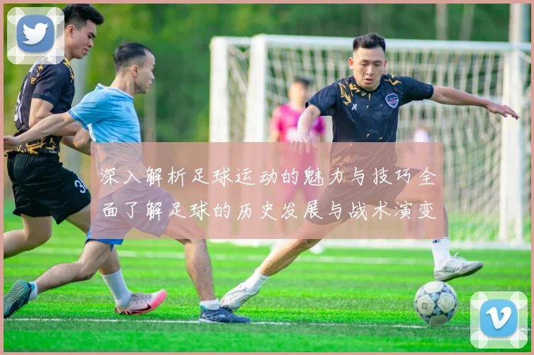 深入解析足球运动的魅力与技巧全面了解足球的历史发展与战术演变
