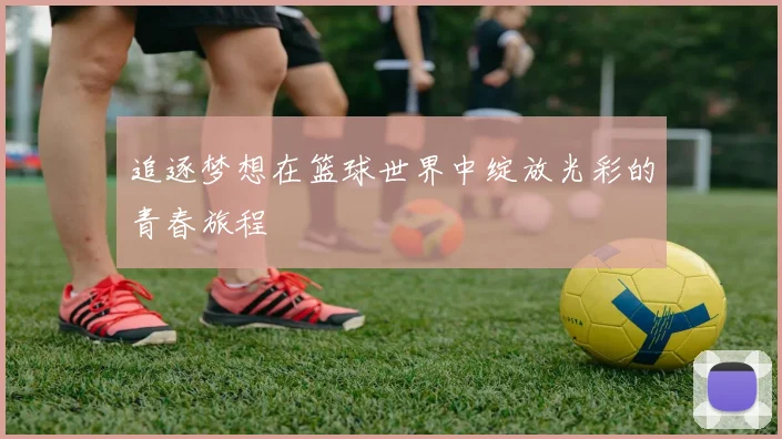追逐梦想在篮球世界中绽放光彩的青春旅程