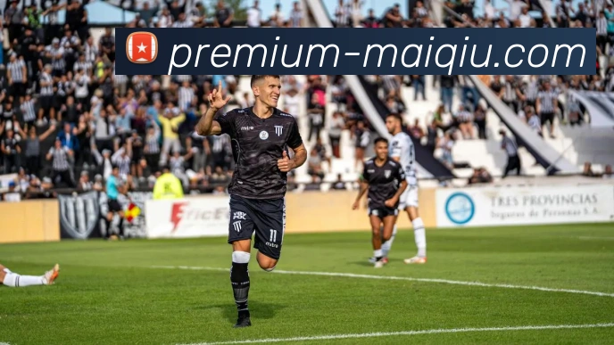 买球站平台生态图