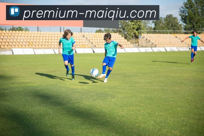 买球站APP 封面图